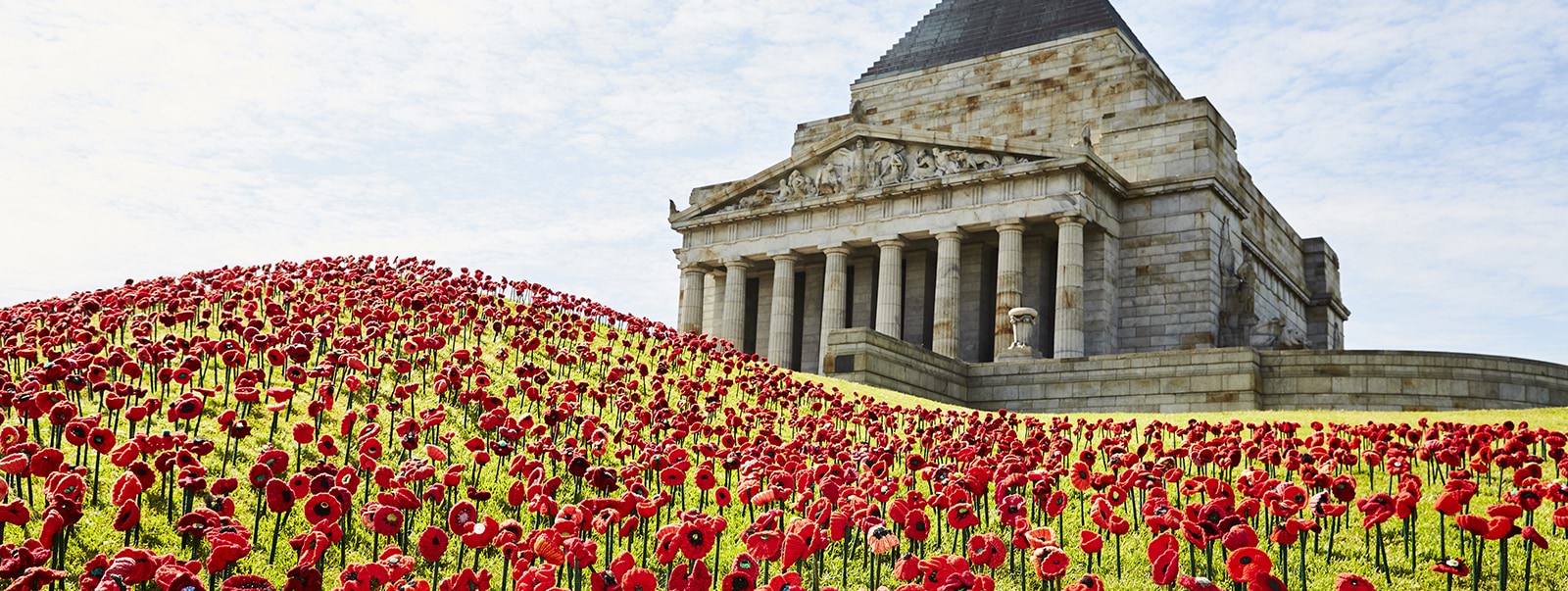 2011 Remembrance Day Red Poppy $5 PNC Limited Edition No